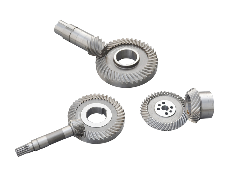 ׼˫�������